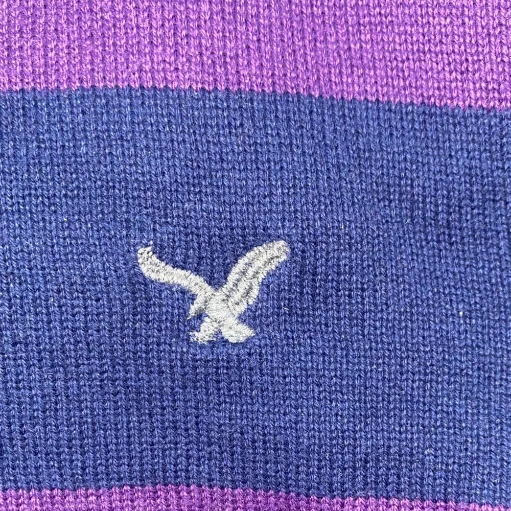 American Eagle Outfitters Men's V-Neck Sweater in Purple and Black
